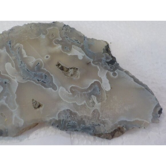 Ochoco Oregon Tube Agate Rock Slab White Gray & Blue Translucent Silica Rich - Picture 6 of 7